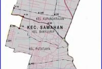 Peta Kecamatan Sawahan Surabaya Selatan
